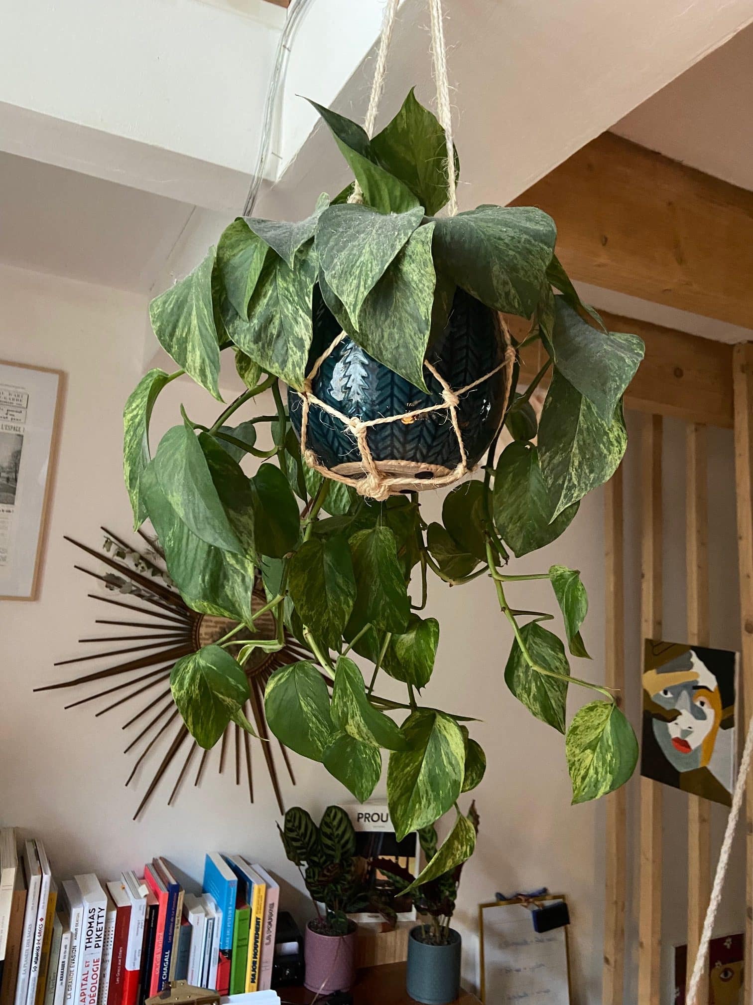 Comment fabriquer un pot en macramé : tuto DIY simple et décoratif