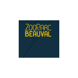 Gagnez un Séjour Magique au ZooParc de Beauval ! 🌍🐼