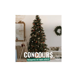 🌲 Participez au concours Gamm Vert et gagnez un sapin de Noël ! 🎁