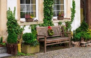 🌳 Plantez des arbres avec l’aide de votre commune : Favorisez la biodiversité près de chez vous