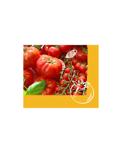 Cadeau Gourmand : chaque mois, recevez un lot de saveurs de Nouvelle-Aquitaine !