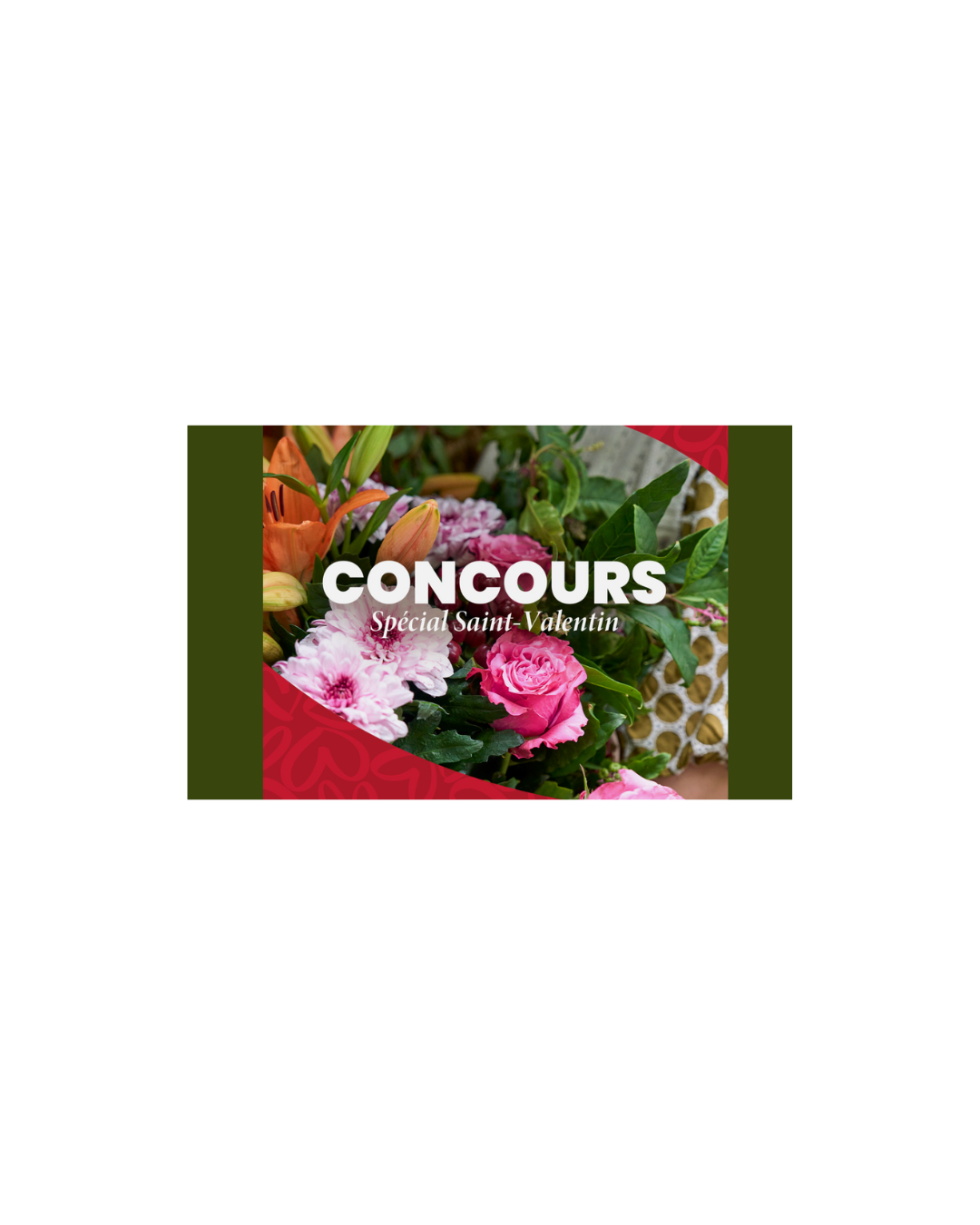 50€ de plaisir chez Truffaut à saisir en bons cadeaux