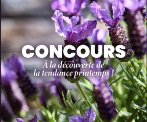 Plus que 24H : 100 € chez Truffaut pour transformer votre intérieur (ou jardin)