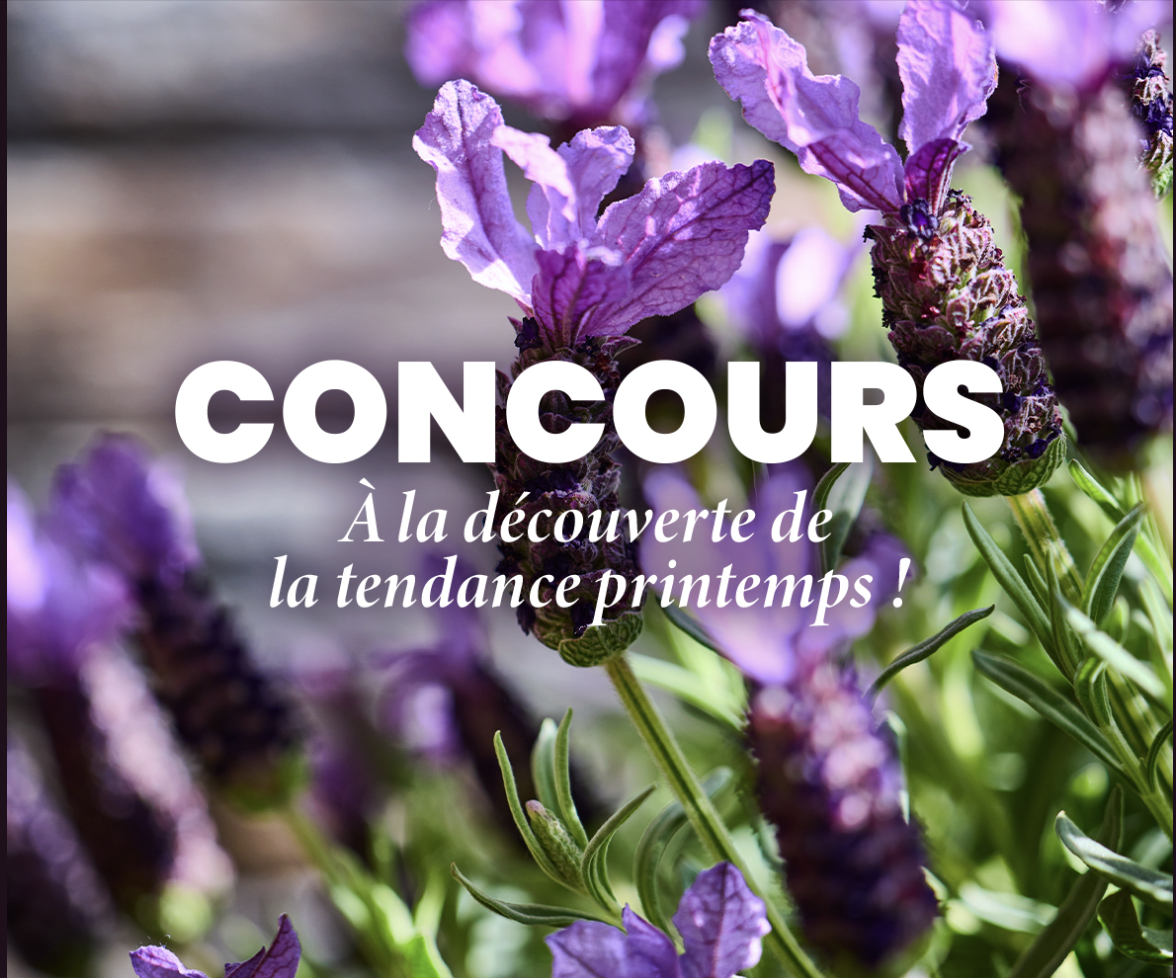 Plus que 24H : 100 € chez Truffaut pour transformer votre intérieur (ou jardin)