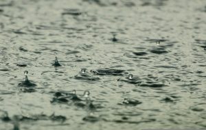 Des centaines de communes offrent un récupérateur d'eau de pluie gratuit ou subventionné — et la vôtre ?