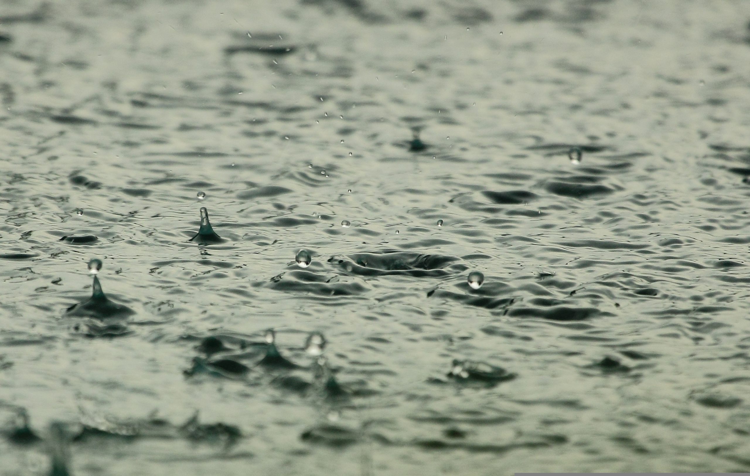 Des centaines de communes offrent un récupérateur d'eau de pluie gratuit ou subventionné — et la vôtre ?